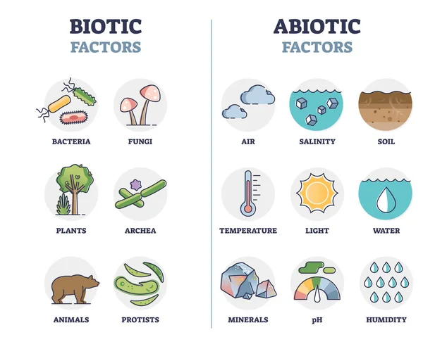 Factores bióticos y abióticos como elementos biológicos diagrama de contorno de división — Archivo Imágenes Vectoriales