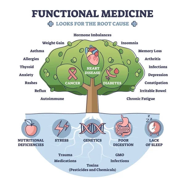 Functional medicine as treatment with looks for root cause outline diagram — Stock Vector