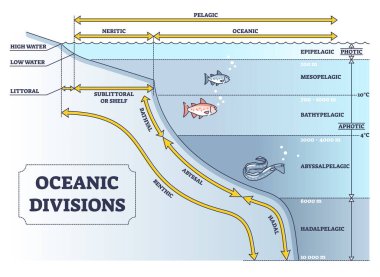 Oceanic divisions and depth zones as underwater parts in outline diagram clipart