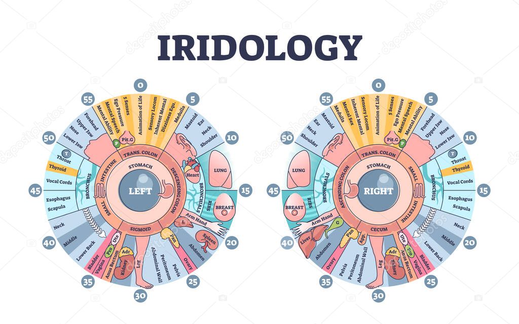 Iridology as eye iris monitoring and disease diagnostics outline diagram