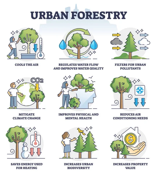 Conjunto de recogida de esquemas de beneficios de la silvicultura urbana y la jardinería ecológica — Archivo Imágenes Vectoriales