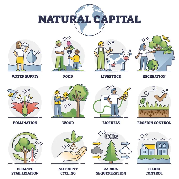 Kapitał naturalny jako zasoby środowiskowe i zbiór zasobów — Wektor stockowy
