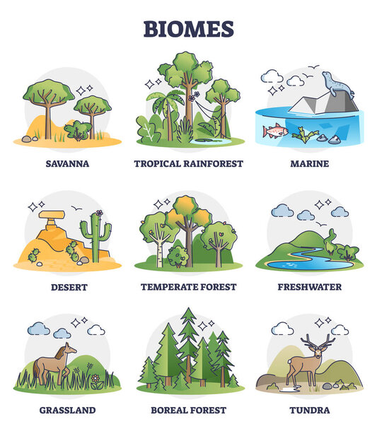 Biomes as biogeographical climate zones division in outline collection set