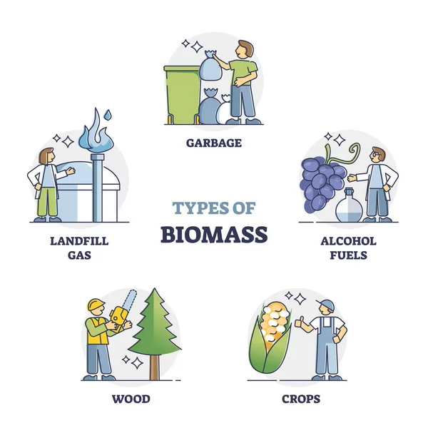 Tipos de biomassa como recurso natural para a recolha de electricidade alternativa —  Vetores de Stock