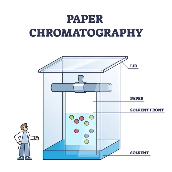 Papierchromatografie methode om gekleurde chemische stoffen schema scheiden — Stockvector