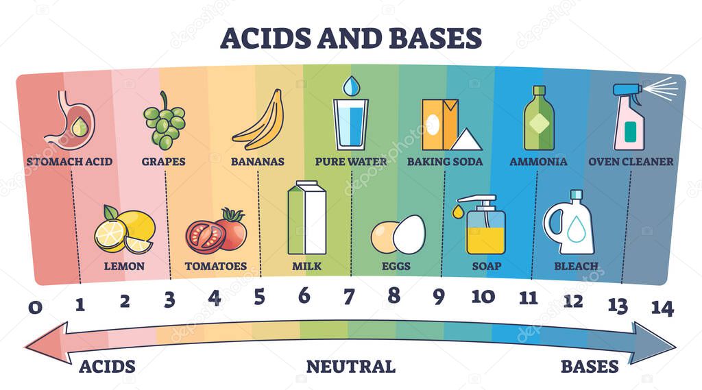 Acids, neutral and bases substances scale with examples outline diagram