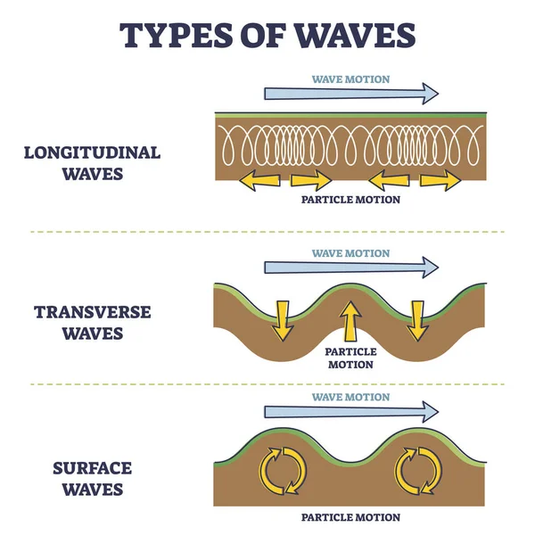 Types of longitudinal, transverse and surface waves examples outline diagram — Stock Vector