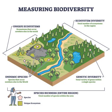 Ekosistemdeki biyolojik çeşitliliği ya da bir bölgenin diyagramındaki türleri ölçmek