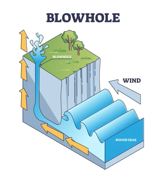 Formação de gêiser Blowhole ou marinho no diagrama de contorno de explicação de cavernas marítimas —  Vetores de Stock