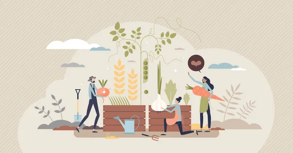 Agricultura biológica como cultivar alimentos com método sustentável conceito de pessoa minúscula — Vetor de Stock