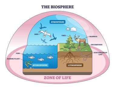 Biyosfer diyagramı atmosferdeki yaşam alanlarını, hidrosferi ve litrosferi, anahtar nesneleri, ağacı, balığı, kuşu açıklıyor. Özet diyagramı