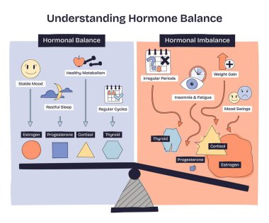Hormon dengesi, bir tahterevallinin östrojen, kortizol ve tiroid simgeleriyle dengesizliğe karşı dengesizlik göstererek ruh halini, uykuyu ve bisiklet etkilerini gösterdiğini açıklar. Doodle biçim diyagramı