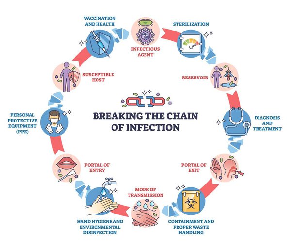 Концепция разрыва инфекционной цепи показывает круговой поток профилактических шагов с иконками, ключевыми объектами, разорванной цепью, ручной промывкой, стетоскопом. Контурная диаграмма