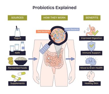 Probiyotikler, bağırsakların iyi ve kötü bakterilerle dolu bir büyüteç altında olduğunu gösteren bir bağırsak sağlığı değerlendirmesi, ayrıca kaynakların ve faydaların özetlendiğini açıkladı. Doodle biçim diyagramı