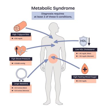 Metabolik sendrom diyagramı risk kümesi olduğunu gösteriyor. Oklu merkezi insan silueti, kalp, kan damlası ve HDL kalkanını ön plana çıkarıyor. Doodle biçim diyagramı