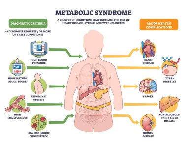 Metabolik sendrom bozuklukları bir insan figürü etrafında kümelenmiş riskler olarak gösterilmiştir, anahtar ikonlar yüksek kan basıncı, yüksek kan şekeri ve karın obezitesi göstermektedir. Özet diyagramı