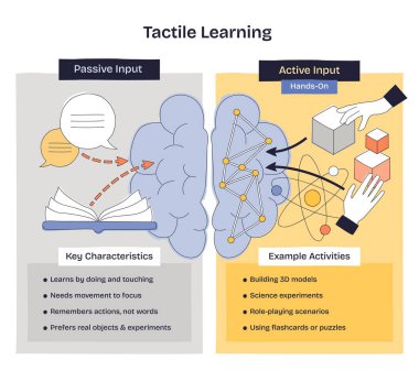 Dokunsal öğrenme özeti pasif okuma, beyin, el ve engellerin hafıza ve odaklanma için aktif bağlılığı nasıl yendiğini gösteriyor. Doodle biçim diyagramı