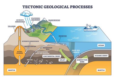 Tektonik jeoloji, plaka subdüksiyonunu, magma odasını ve yükselmeyi gösteren şematik bir işlem. Oklar, erozyondan volkanizmaya kadar kaya döngüsünü gösteriyor. Özet diyagramı