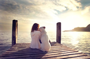 dog rests gently on his master's shoulder while looking the view clipart