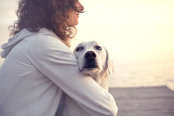 Beskyttende kvinne som omfavner hunden sin mens hun ser på utsikten. – stockfoto