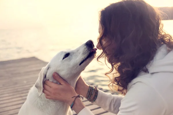 Il suo cane proprietario lecca delicatamente, gesto d'amore — Foto Stock
