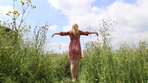 Mujer hace ejercicios de meditación en medio de un campo — Vídeo de stock