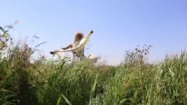 mutlu kadın kendi etrafında onu beyaz kaşkollu ortasında doğa ile dönüm