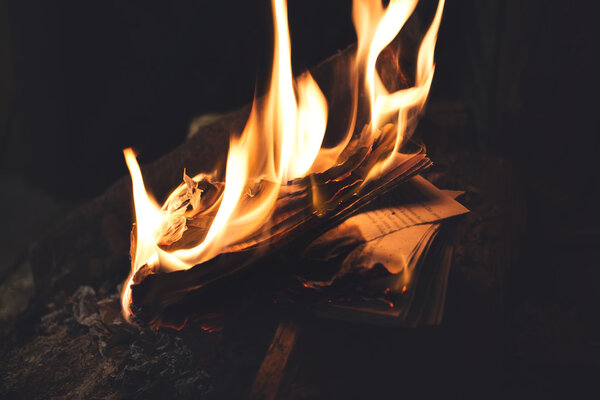 Book burning in flames, old memories vanished forever, all digitized books
