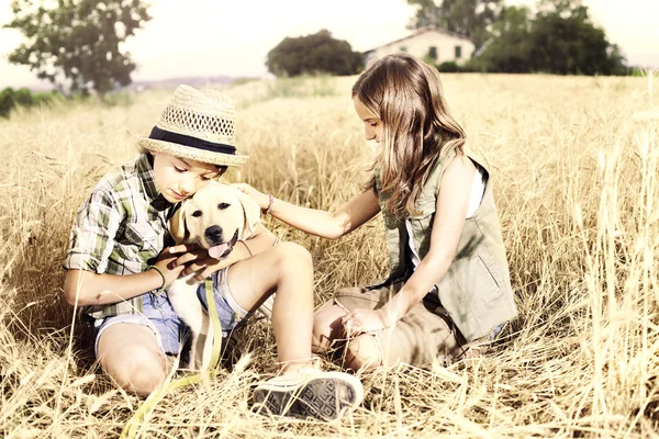 Brother and sister in a wheat field with a dog — Stock Photo, Image