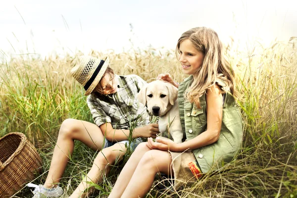 Irmão e irmã em um campo de trigo com um cachorro — Fotografia de Stock
