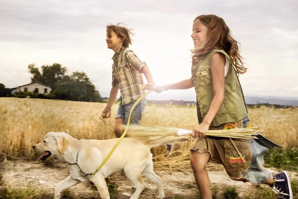 Bambini che corrono con il cane nel grano al tramonto — Foto Stock