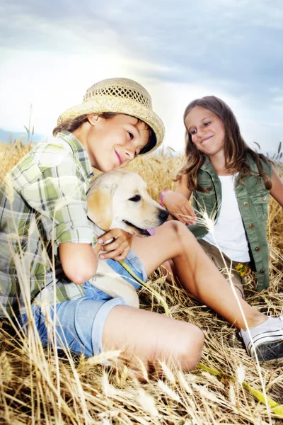 Irmão e irmã em um campo de trigo com um cachorro — Fotografia de Stock