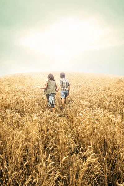 Kinder rennen in den Weizen zum Sonnenuntergang — Stockfoto