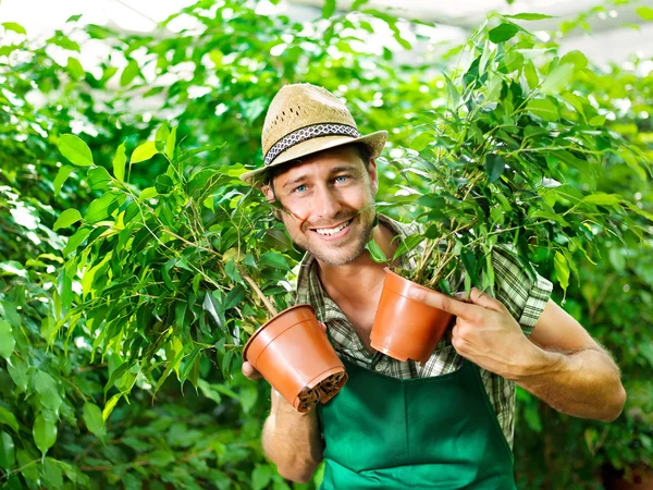 Agricultor muestra con pasión sus plantas queridas — Foto de Stock