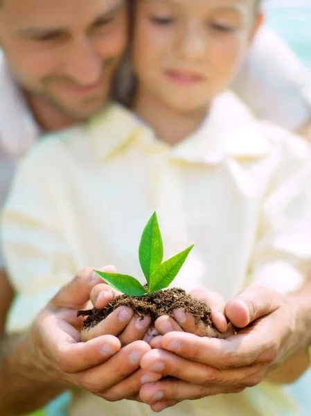 Vater erzieht Sohn zur Pflege einer Pflanze — Stockfoto