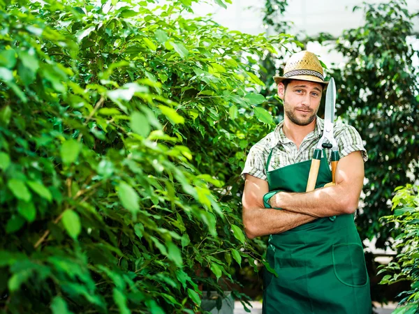 Happy farmer beskärning av växter i ett växthus — Stockfoto