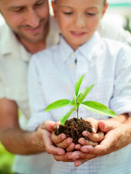 Батько навчає сина доглядати за рослиною — стокове фото