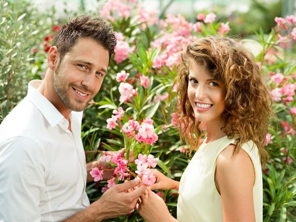 Ragazzo dà la sua donna un fiore in una serra — Foto Stock