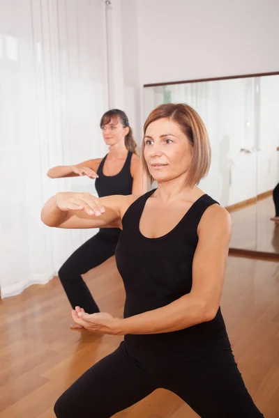 Dos mujeres haciendo un ejercicio de fitness en sincronía — Foto de Stock