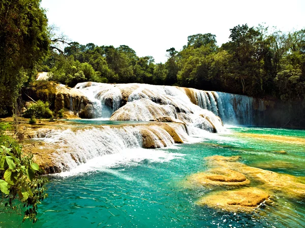 Cascada Aqua Azul en Chiapas México — Foto de Stock