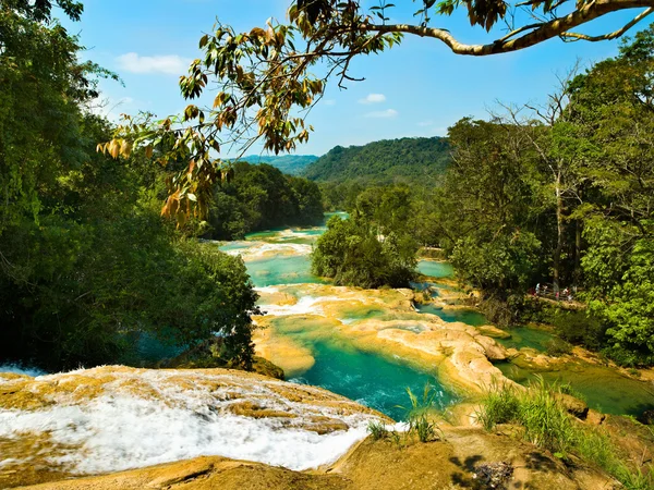 Aqua azulwasserfall chiapas mexiko — Stockfoto