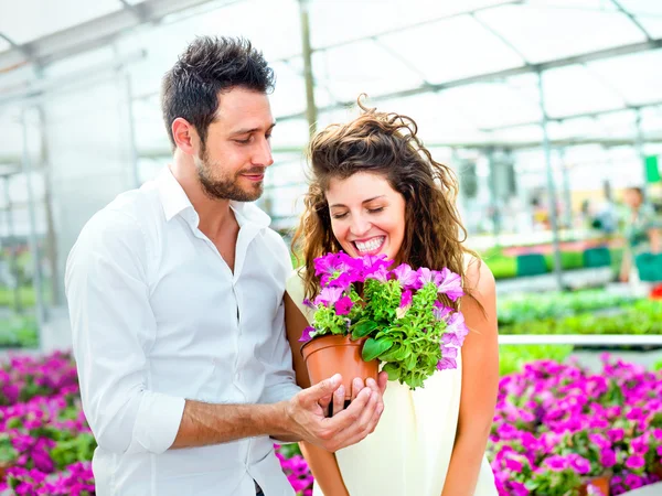 Couple have fun choosing flower pots in a greenhouse in spring — Stock Photo, Image