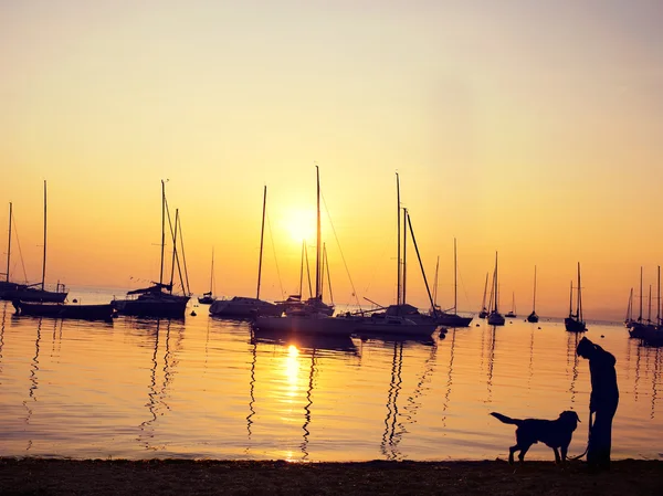 Luz de fondo de dos amigos: niña y su perro frente al lago al atardecer — Foto de Stock