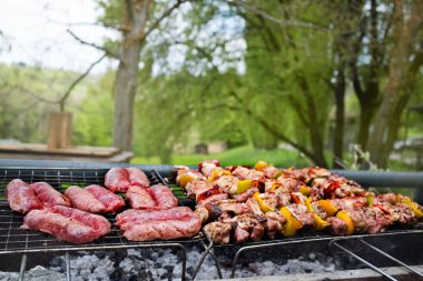 Delicious barbecue outdoors in nature