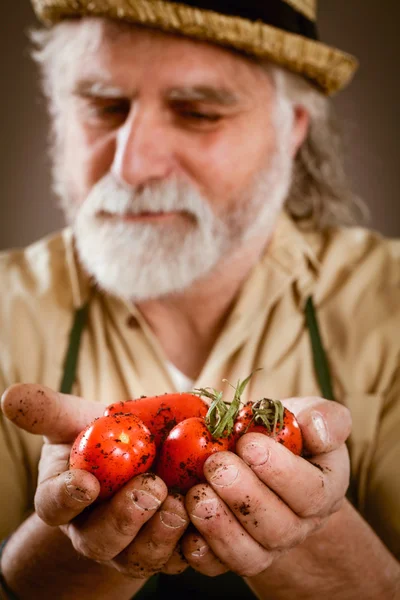 農民は、彼の生物学的野菜を示しています — ストック写真