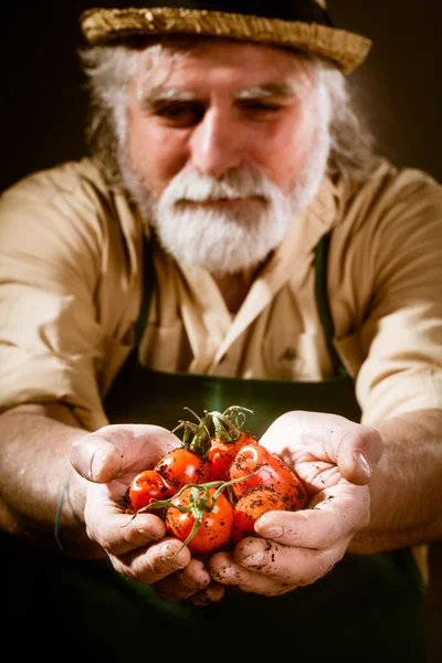 Farmer shows his biological vegetables — Stock Photo, Image