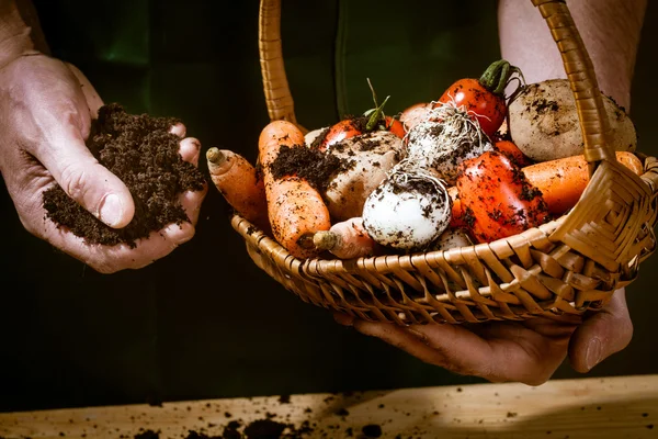 Hands with biological vegetables — Stock Photo, Image