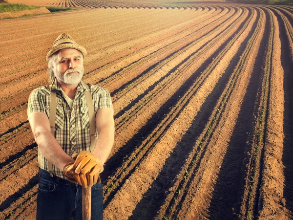 Farmer in front of his cultivated field — Stock Photo, Image