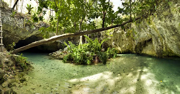 Cenotes dos ojos Tulum Meksyk — Zdjęcie stockowe