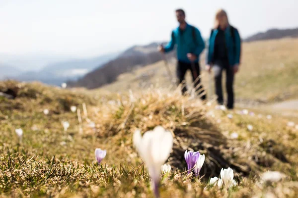 Flores de primeiro plano com caminhantes andando no fundo — Fotografia de Stock